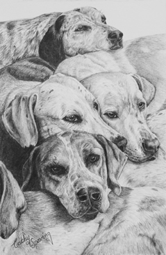 Foxhounds